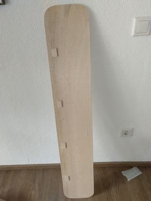 Bild 047: Verkleidungsplatte (nicht sichtbare Seite mit Holzhaken) für die Schiebetüre