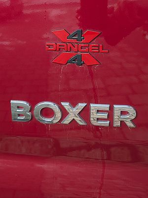 Bild 143: Außen zeigt sich der Allradantrieb durch das Dangel-Symbol ...